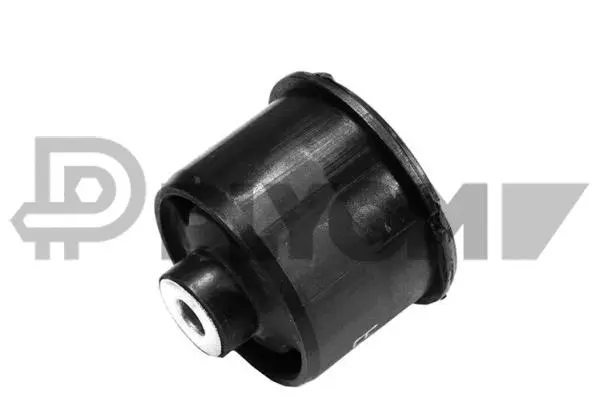 Suspension, corps de l'essieu PLYOM P755644