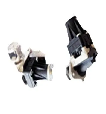 Vanne EGR ASSO 70.0106