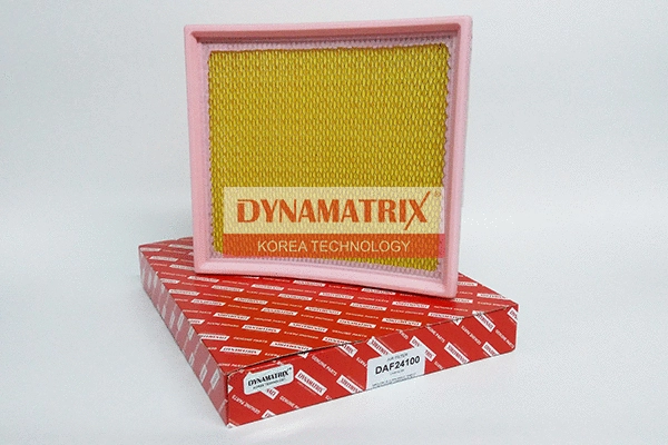 Filtre à air DYNAMATRIX DAF24100