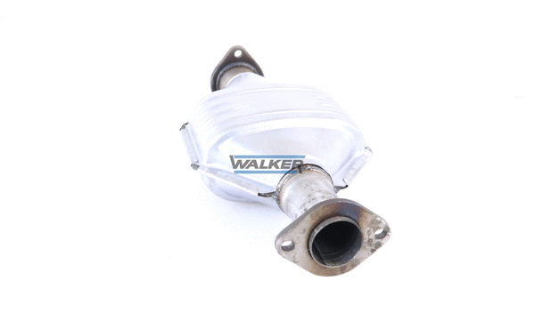 Catalyseur WALKER 20263