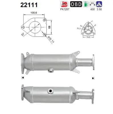 Catalyseur AS 22111