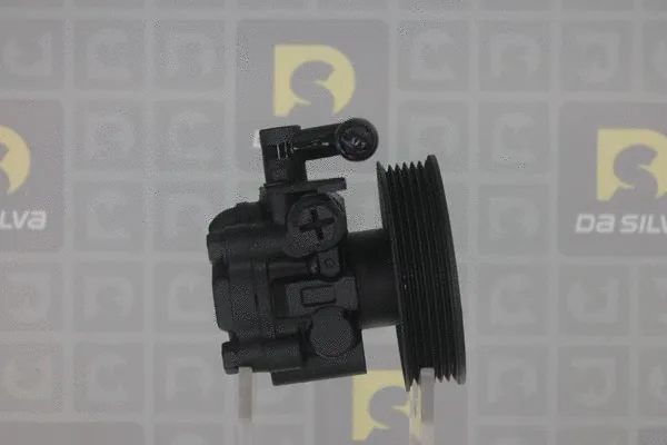 Pompe hydraulique, direction DA SILVA DP3285