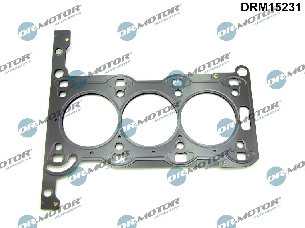 Joint, culasse Dr.Motor Automotive DRM15231