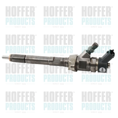 Injecteur HOFFER H74077R
