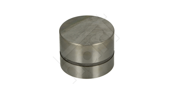 Poussoir de soupape HART 346 252