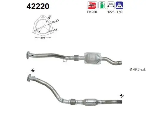 Catalyseur AS 42220