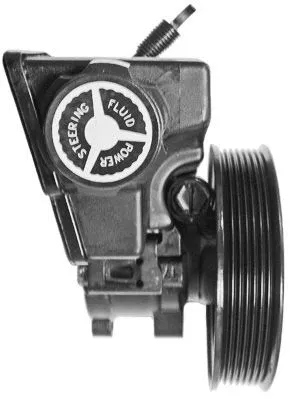 Pompe hydraulique, direction GENERAL RICAMBI PI0741
