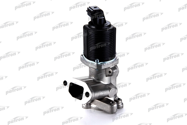 Vanne EGR PATRON PEGR031