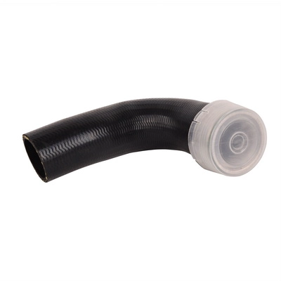 Gaine de suralimentation BAPMIC BF0422700020
