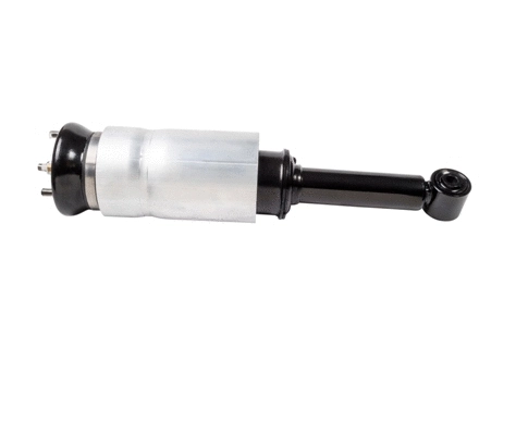 Armortisseur pneumatique DUNLOP DAS10116