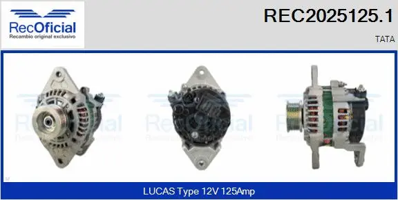 Alternateur RECOFICIAL REC2025125.1