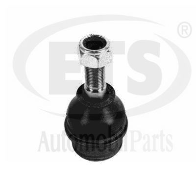 Rotule de suspension ETS 31.BJ.599