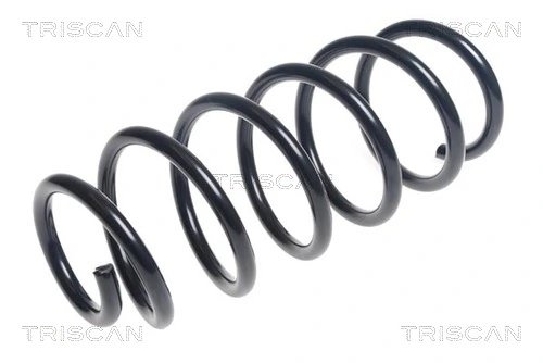 Ressort de suspension TRISCAN 8750 24198