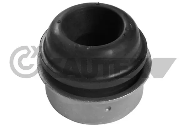 Suspension, corps de l'essieu CAUTEX 482511