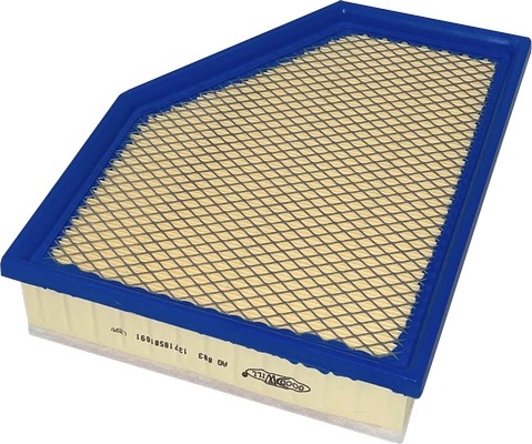 Filtre à air GOODWILL AG 883