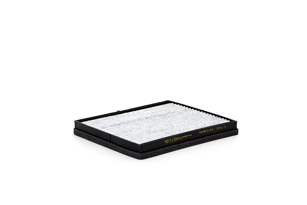 Filtre, air de l'habitacle SCT - MANNOL SAK 141