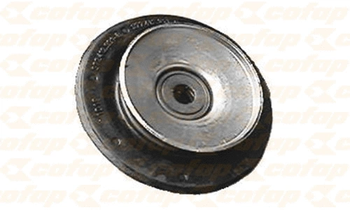 Amortisseur COFAP CXC01119