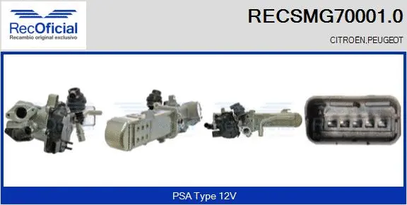 Module-EGR RECOFICIAL RECSMG70001.0