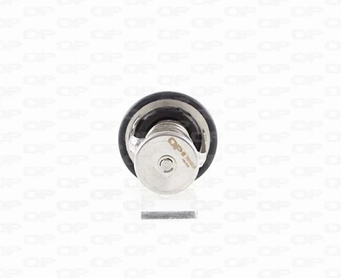 Thermostat, liquide de refroidissement OPEN PARTS TRM1028.00