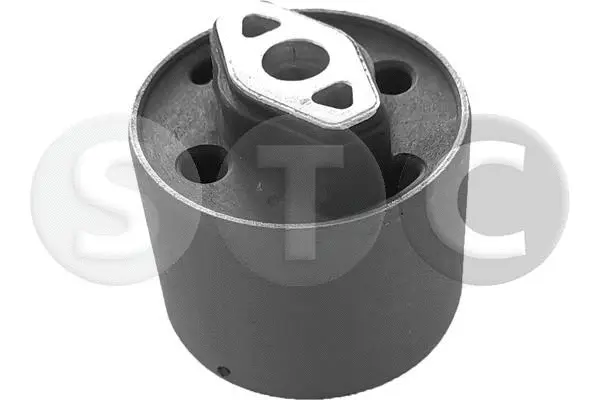 Suspension, corps de l'essieu STC T458238