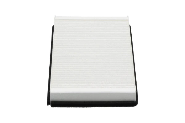 Filtre, air de l'habitacle AMC Filter DC-1001