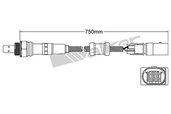 Sonde lambda VEGAZ GmbH ULS-462