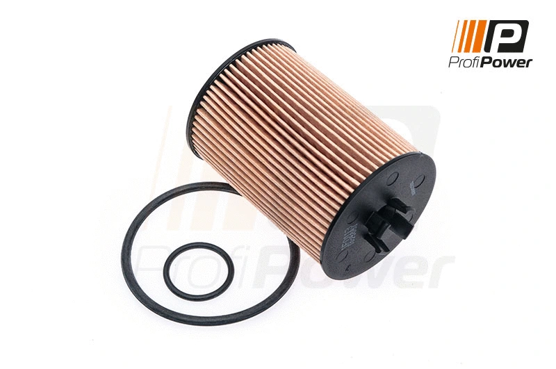 Filtre à huile ProfiPower 1F0113