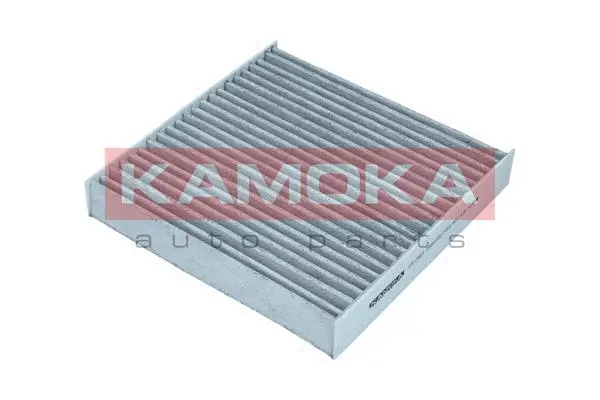 Filtre, air de l'habitacle KAMOKA F517601