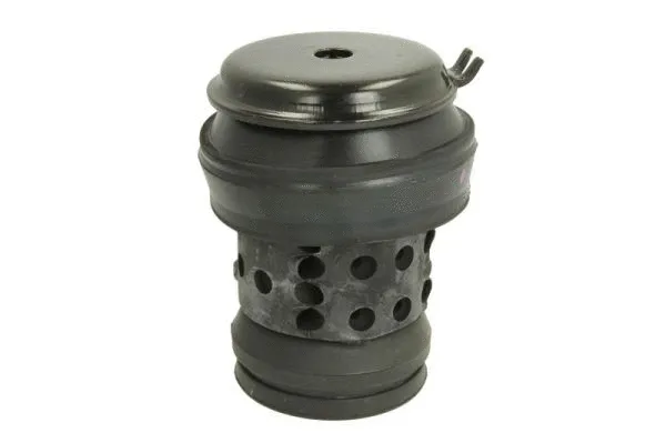 Support moteur REINHOCH RH11-0018