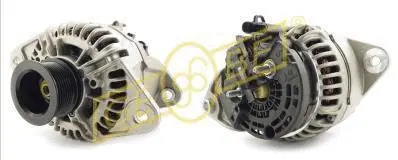Alternateur GEBE 6 8051 1