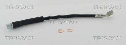 Flexible de frein TRISCAN 8150 17300