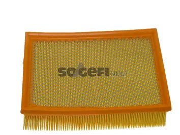 Filtre à air FRAM CA9473