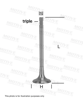 Soupape d'émission MOTIVE EV10055