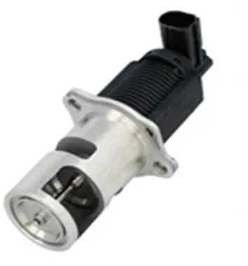 Vanne EGR ASSO 70.0077