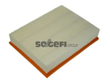 Filtre à air FRAM CA10228