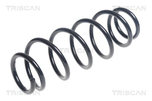Ressort de suspension TRISCAN 8750 42106