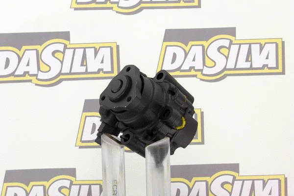 Pompe hydraulique, direction DA SILVA DP2283