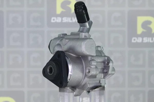 Pompe hydraulique, direction DA SILVA DP3465