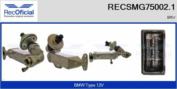 Module-EGR RECOFICIAL RECSMG75002.1