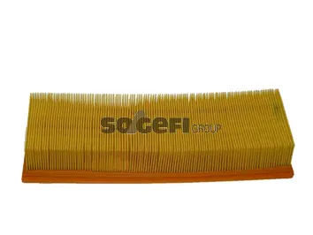 Filtre à air FRAM CA4534