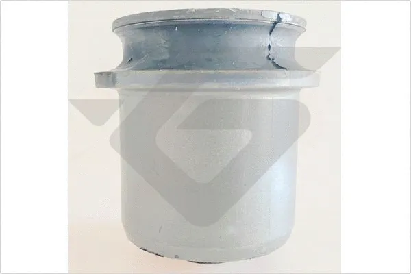 Suspension, corps de l'essieu HUTCHINSON 590565
