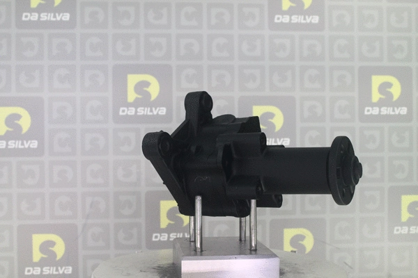 Pompe hydraulique, direction DA SILVA DP3663