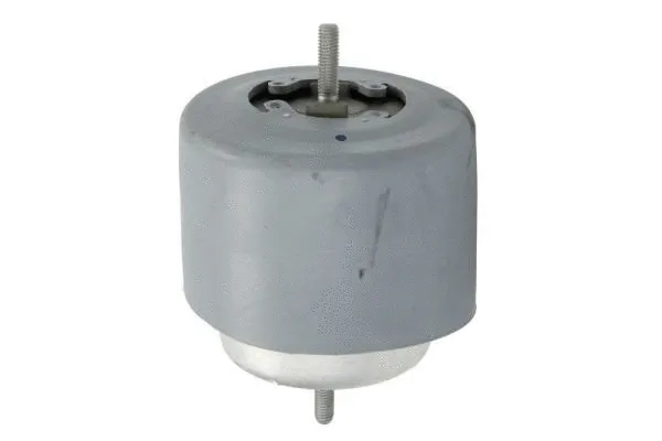 Support moteur REINHOCH RH11-0071