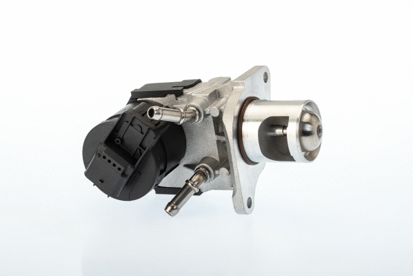 Vanne EGR BorgWarner 710327D
