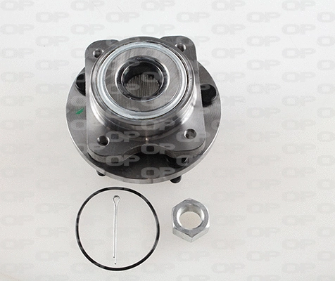 Kit de roulements de roue OPEN PARTS HBK5198.03