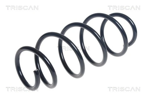 Ressort de suspension TRISCAN 8750 16116