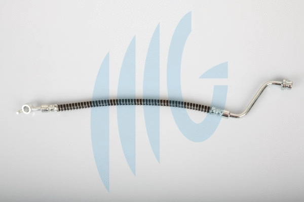 Flexible de frein RICAMBIFLEX GM 02160909