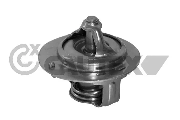 Thermostat, liquide de refroidissement CAUTEX 772123