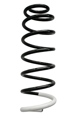 Ressort de suspension SPIDAN 86807