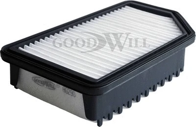Filtre à air GOODWILL AG 290/2